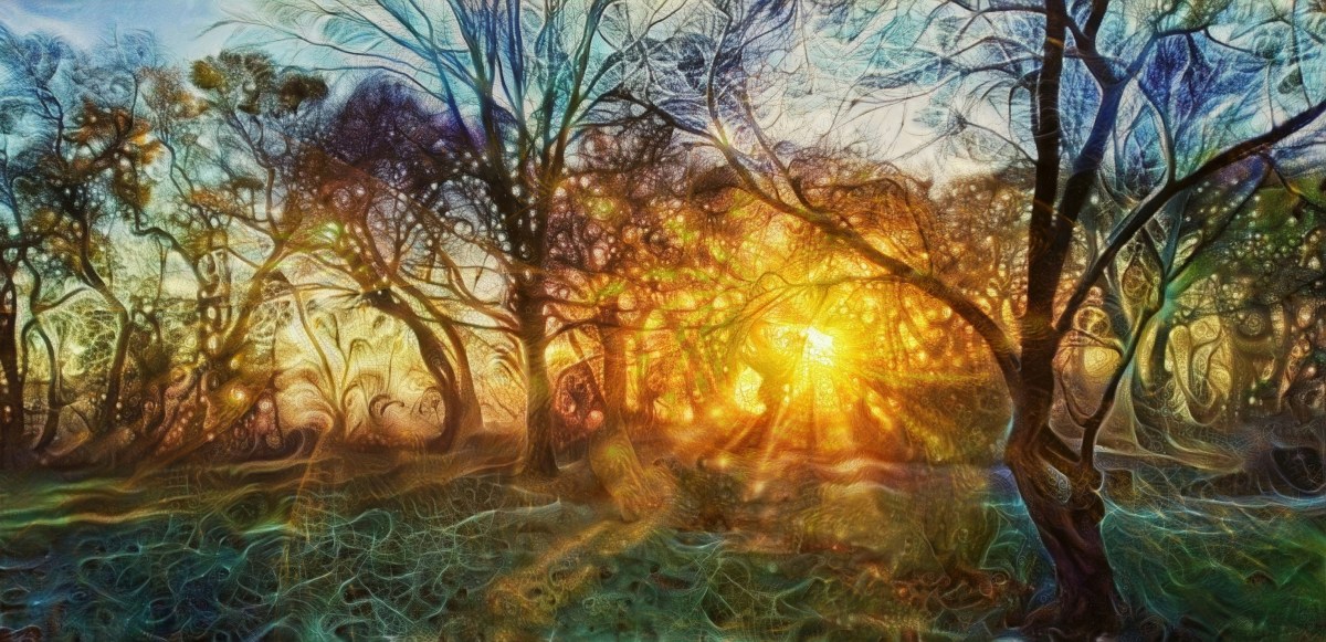 Tryptaminy #3: Houby lesní, houby&nbsp;mořské